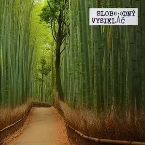 Jaskyna Pre Muzov 16 - 2015-07-21 Haluzice - 1. časť