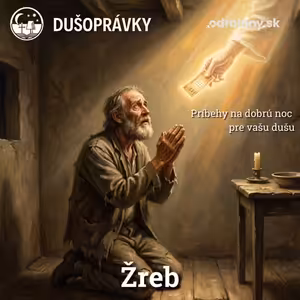 Žreb