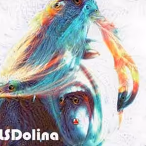 LSDolina | Jakub Popík: Díler si od teba zdravotnú kartu nevypýta #34