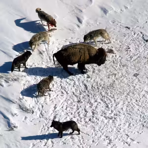 Co vše se právě děje okolo nás, Vít Syrový, Duše má, neznámá (89.), 13.3.2024