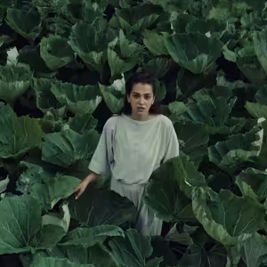 Dá se na smrt připravit lépe než na vládu Motoristů? A čeká nás vánoční feministická pohádka?