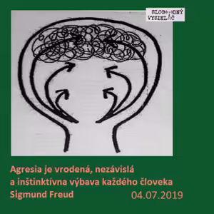 Opony 260 - 2019-07-04 Agresia (nielen) pri duševných poruchách…
