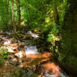 Poď sa túlať najromantickejšou roklinou na Slovensku! (Výlety po Slovensku s One2We)