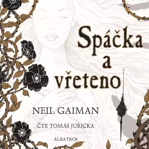 🧵 Neil Gaiman: Spáčka a vřeteno [The Sleeper and the Spindle]