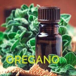Přírodní Ochránce: Síla Oreganového Oleje🛡️🌿