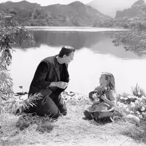 Když Frankenstein potká Babičku a Superman Ferdu Mravence. Co patří do popkulturního kánonu?