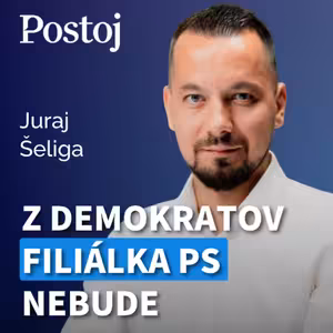 Šeliga: Predvolebná koalícia Demokratov s PS a Maďarmi je reálna, v KDH o spájanie nestoja