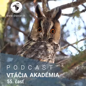 Šéfkuchárka z michelinskej reštaurácia chytá vo voľnom čase sovy. Aj tie "slovenské".