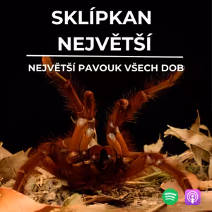 72: Největší pavouk všech dob | Sklípkan největší