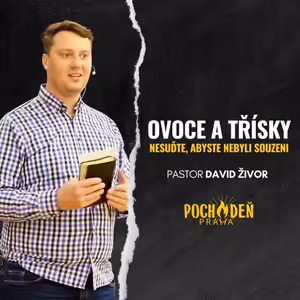 Ovoce a třísky
