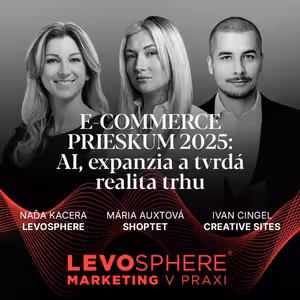 #299 E-COMMERCE PRIESKUM 2025: AI, expanzia a tvrdá realita trhu