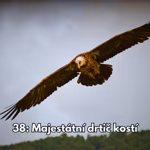 38: Majestátní drtič kostí