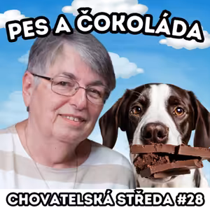 🐶🍫 PES a ČOKOLÁDA 🍫🐶 | Chovatelská středa #28