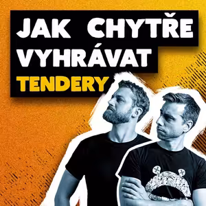 Jak rozpoznat tender, postupovat a být v něm úspěšní