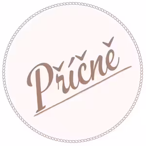 Učitel-aktivní hráč