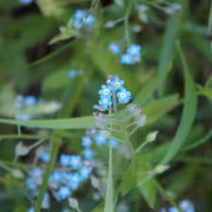 Svätého Jozefa, robotníka