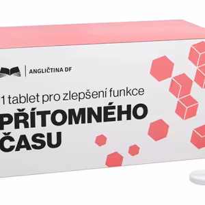 PŘÍTOMNÝ ČAS - příklady vět s nejčastějšími slovesy