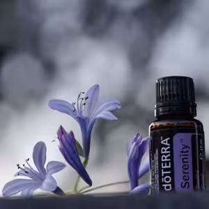 Oáza Klidu: Příběh Směsi Serenity 🌜✨