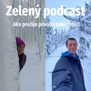 Ako prežije príroda tuhú zimu?