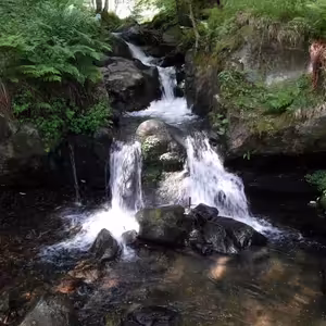 Absolutní zdraví, Vít Syrový, Duše má, neznámá (83.), 13.9.2023