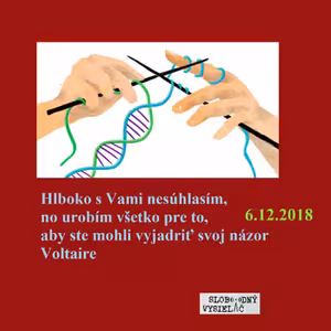 Opony 232 - 2018-12-06 Konvergencie 28 Kam sme sa dostali ?