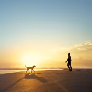 CBD pro ženy. Jak jim může pomáhat?