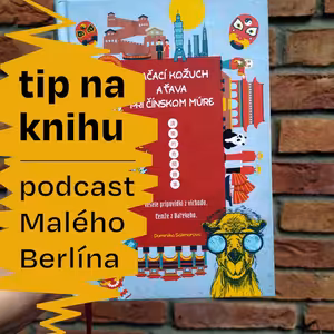 Tip na knihu: Mačací kožuch a ťava pri Čínskom múre