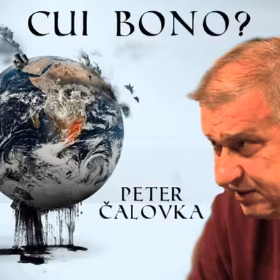 Cui Bono