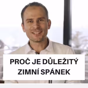 Proč je důležitý zimní spánek