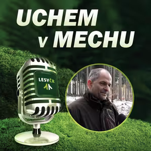 O současném počasí a jeho vlivu na les s lesním správcem z Nasavrk Martinem Zavrtálkem