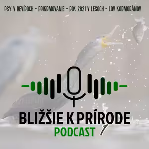 Bližšie k prírode č. 1 (Psy v revíroch, Prikrmovanie zveri, Rok 2021 v lesoch, Lov kormoránov)