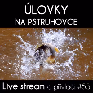 Přívlač live #53 - Z lovu!