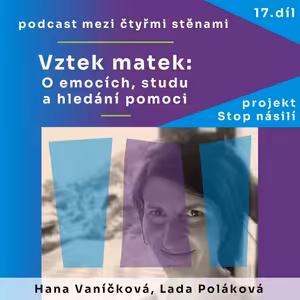 Vztek matek: O emocích, studu a hledání pomoci