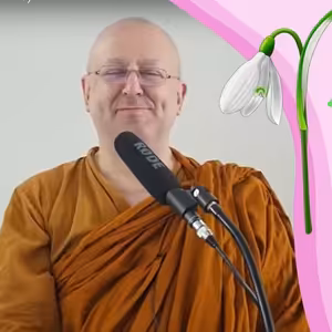 Jarní meditace🧘(k nezaplacení) | Ajahn Brahm | 21.11.2015