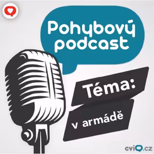 Lidé a pohyb: v armádě