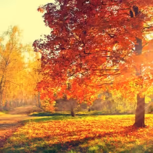 Dopoludnie na InfoVojne s Adrianom 14.10.2025