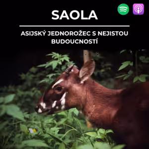 88: SAOLA | Asijský jednorožec s nejistou budoucností