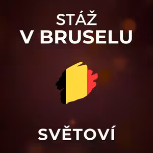 Stáž u europoslance: Dotační kauzy na Česko v europarlamentu vrhají špatné světlo. | SVĚTOVÍ