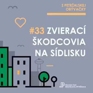 Makety vtákov holuby neodplašia. Ako predísť stretu so zvieracími škodcami na sídlisku?