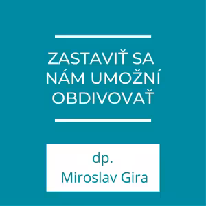 Zastaviť sa nám umožní odbivovať | Homília