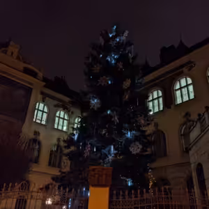 Vánoční anketa ✨