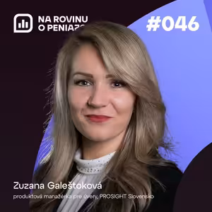NRoPE 46: Posudzovanie príjmov pre potreby úveru