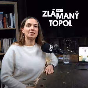 Německé dotace na elektřinu ničí evropský trh a ohrožují Česko. Babiš musí jednat