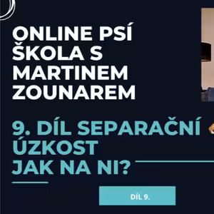 #9 Separační úzkost u psa