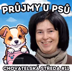 👩‍⚕️PRŮJMY u PSŮ👩‍⚕️| Chovatelská středa #11