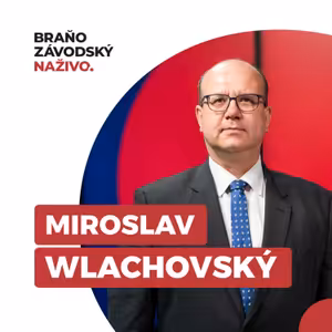 Wlachovský: V neutralite musíte poctivo zbrojiť, mať podmínované mosty a doma samopaly