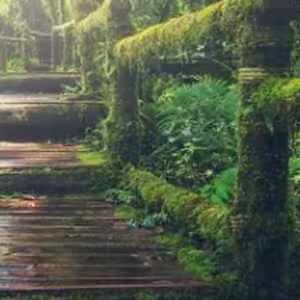 Cestou pravdy a lásky - Jan 7:1-13