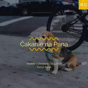 Čakanie na Pána - Tomáš Barek