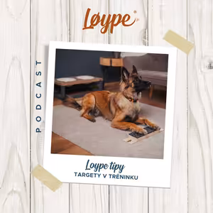 113 | Targety v tréninku | Loype tipy