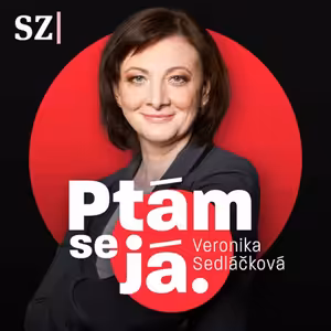 Patříme k „jestřábům“ pomoci Ukrajině. A může se nám to vrátit, říká expert